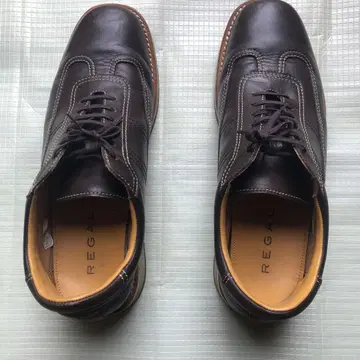 REGAL 다크 브라운