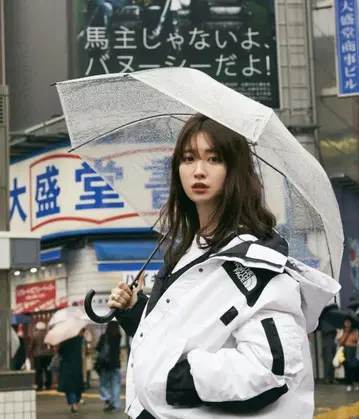 THE NORTH FACE SACAI 마운틴 후드티