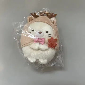 스미코구라시 고양이 미야지마 한정판