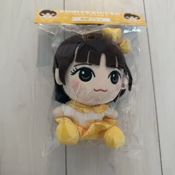 하야세 노엘 치비누이