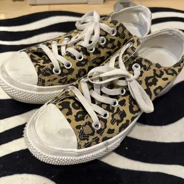 ALL STAR 레오파드 무늬 스니커즈