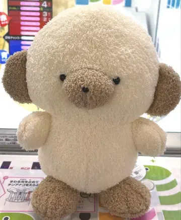 라운드원 한정판 죠세마루 BIG 봉제 인형 라테 2