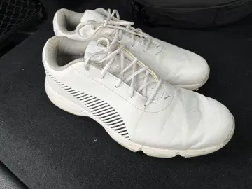 Puma 골프화 25cm 화이트