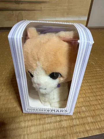 후지와라 이츠키 멘프로 ODEKAKE MARS