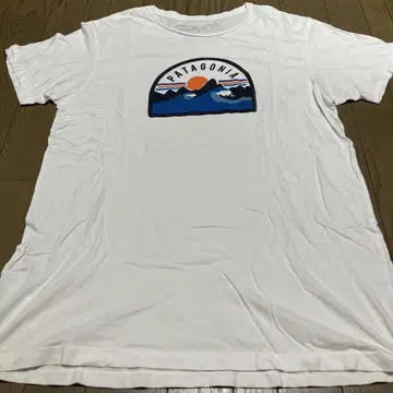 PATAGONIA 티셔츠