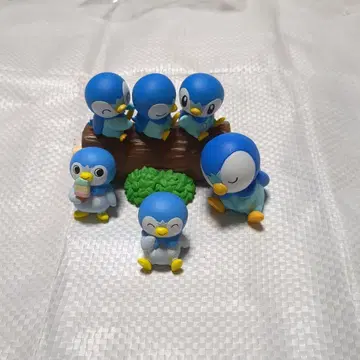 팽도리 묶음 판매