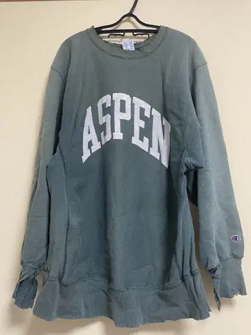 Champion Reverse Weave ASPEN 트레이닝복 L 사이즈