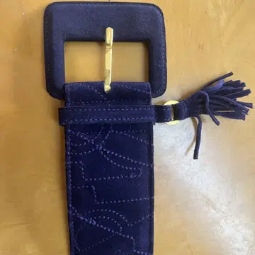 Salvatore Ferragamo 네이비 벨트