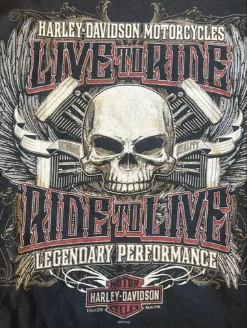 Harley-Davidson 롱티