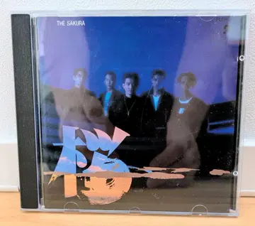 THE SAkURA 벚꽃 CD 이카텐