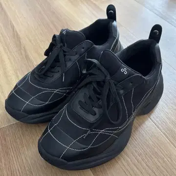 OAO SUNLIGHT (Black)