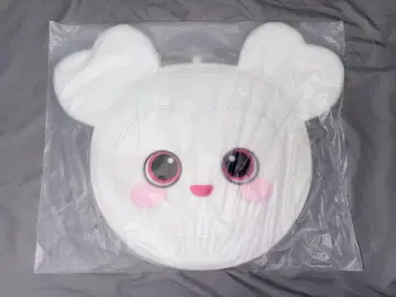 TWICE 다현 부채 케이스