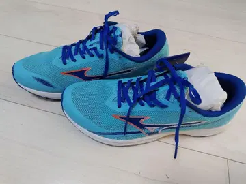 Mizuno 듀얼 엘슨 3 25.5cm 파랑