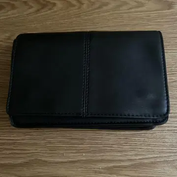 ZARA 파우치