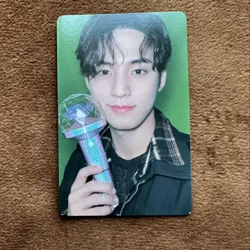 SEVENTEEN 세븐틴 세부치 트레이딩 카드 Carat zone