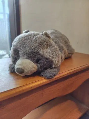 산애로우 너구리 봉제 인형