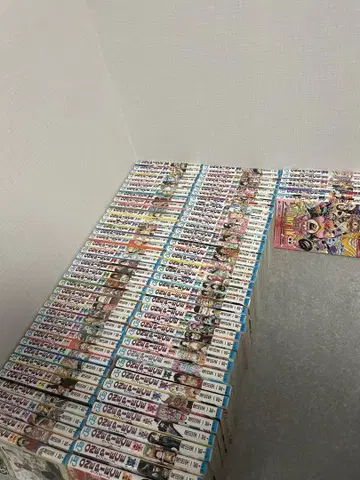 원피스 1권부터 104권 비전권