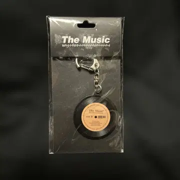 정품 The Music 레코드형 키링 뮤직 키링
