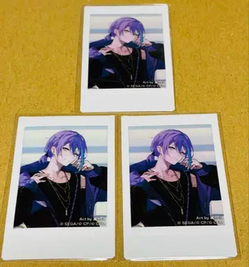 프로세카 루이 폴라로이드 ZOZOTOWN