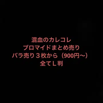 혼혈의 카레콜레 랜덤 브로마이드 묶음 판매