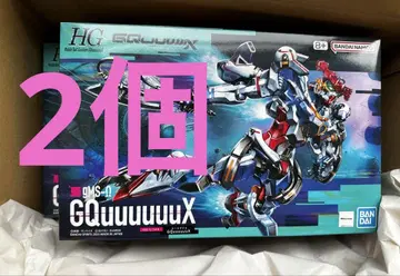 HG GQuuuuuX GMS-02 지크 액스 2점