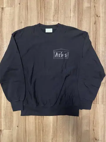 ARIES SWEAT