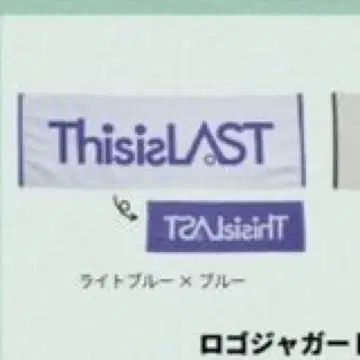 ThisisLAST 타월 라이트 블루 x 블루