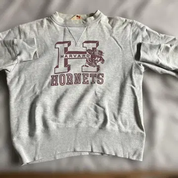 Harvard Hornets 스웨트 셔츠 그레이