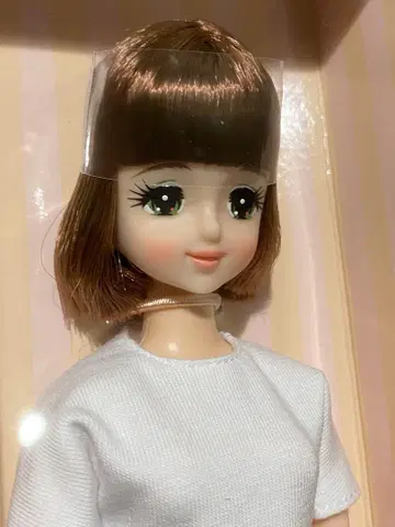 리카짱 캐슬 2021년 일본바시 BASIC 모델 초대 제니 V-561