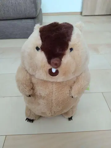 AMU FUN 마모트 MOTTOTO 봉제 인형