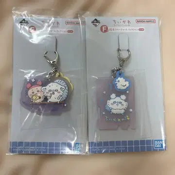 치이카와 제일복권 F상 모몽가 헌책방