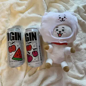 BT21 BT21 봉제 인형, IGIN 빈 캔 세트