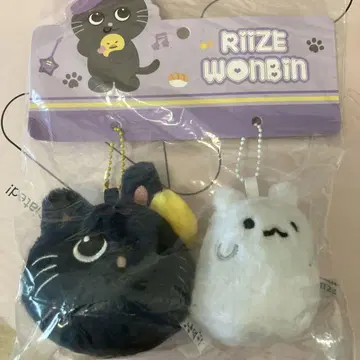 RIIZE 원빈 중국 한정판