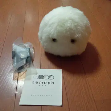 nemoph 화이트