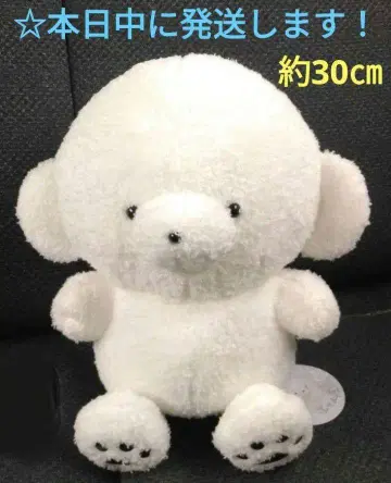 [ 라운드원 한정판 죠세마루 BIG 봉제 인형 [ 죠세마루 ] ]