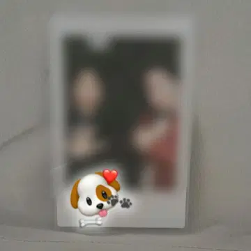 금붕어 반장 폴라로이드
