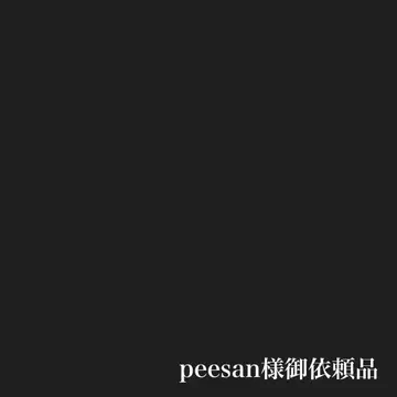 peesan 님 의뢰품
