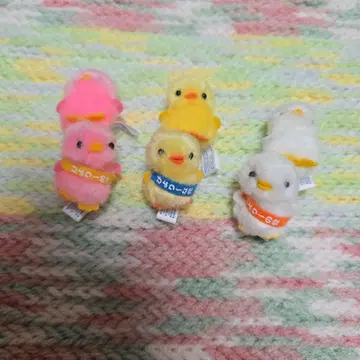병아리의 덕분 지역 한정 피요리나 피요리나당 3종 세트 노멀 포함