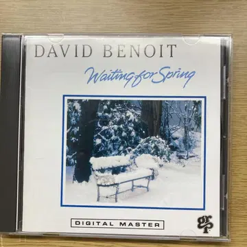 에러 진품 CD David Benoit Waiting for Spring