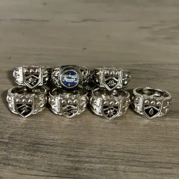 가정교사 히트맨 REBORN! 봉고레 반지 구 컴프 7종 대공 구름 폭풍