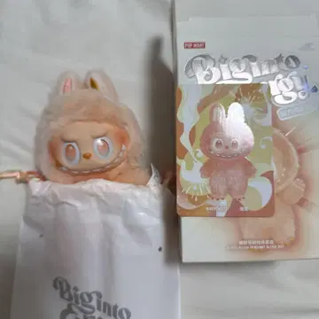 러브브 에너지 HAPPINESS 해피니스 오렌지