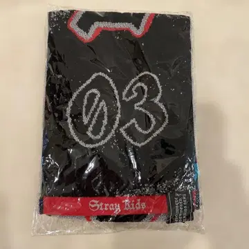 StrayKids 스키즈 에코파 굿즈 머플러 타월 방찬