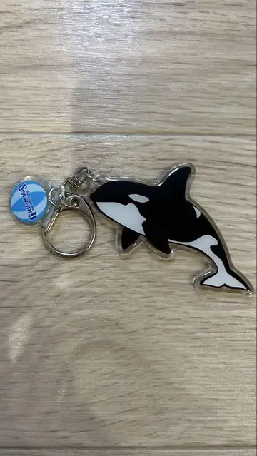 범고래 아크릴 키링 SeaWorld 카모가와 카모가와 씨월드