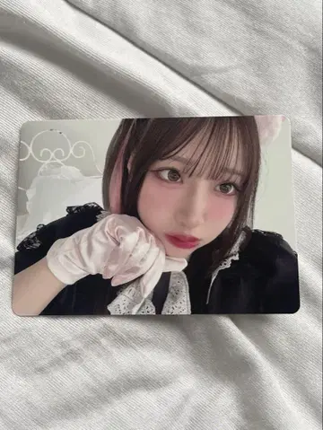 LARME 066 오리지널 트레이딩 카드 SET PiKi 사쿠라바 하루카