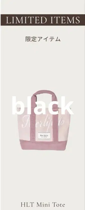 HLT 미니 토트 블랙
