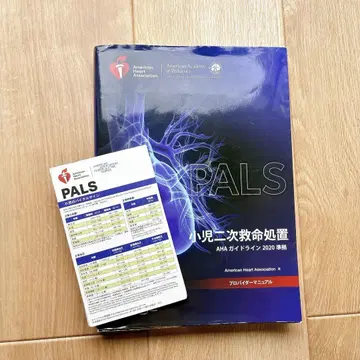 PALS 프로바이더 매뉴얼 2020년 준수