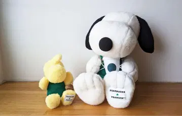 스타벅스 그린 에이프런 Woodstock Snoopy L 2체 세트