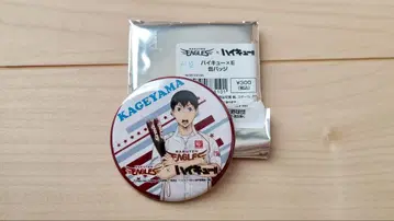 카게야마 토비오 도호쿠 라쿠텐 골든 이글스 하이큐 x E 캔뱃지
