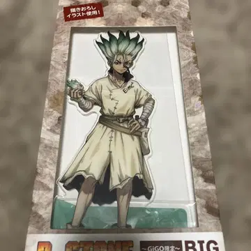 Dr.STONE 닥터스톤 BIG 아크릴 스탠드 이시가미 센쿠 전 5종