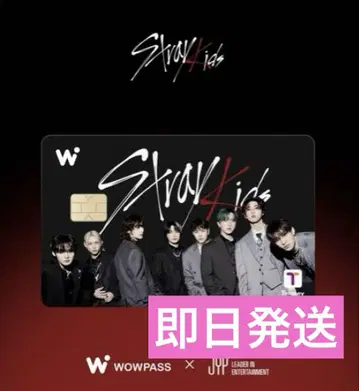 올 StrayKids WOWPASS 와우패스 스키즈